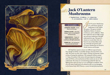 Load image into Gallery viewer, Little Book of Mushrooms