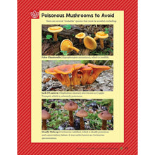 Load image into Gallery viewer, A Guide to Wild Food Foraging