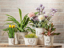 Load image into Gallery viewer, Small Emboss Bee in Crest Planter