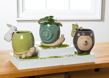 Load image into Gallery viewer, Tall Snail Planter