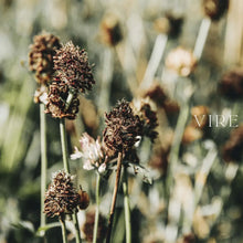 Load image into Gallery viewer, Wonderful Morning Recipes