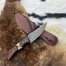 Load image into Gallery viewer, Skinner Knife W/ Rosewood & Stag Grip TK-060