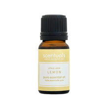Load image into Gallery viewer, 10ml Pure Essential Oil