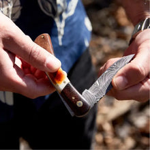 Load image into Gallery viewer, Walnut & Torched Bone Pocket Knife TK-415