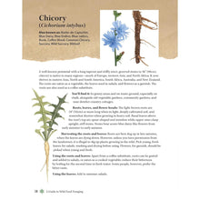 Load image into Gallery viewer, A Guide to Wild Food Foraging