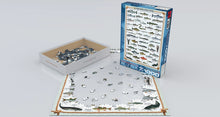 Load image into Gallery viewer, Freshwater Fish Puzzle