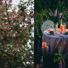 Load image into Gallery viewer, Nordic Summer Cookbook