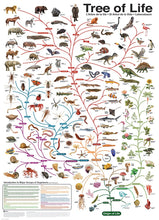 Load image into Gallery viewer, The Tree of Life 1000pc Puzzle