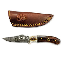 Load image into Gallery viewer, Damascus Steel Skinner Knife, Stag & Walnut Grip