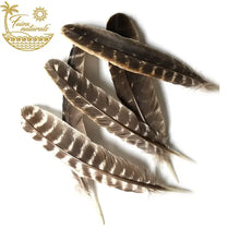 Load image into Gallery viewer, Naturally Fallen Turkey Feather