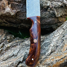 Load image into Gallery viewer, Hand Forged Damascus Hunting Knife
