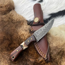 Load image into Gallery viewer, Skinner Knife W/ Rosewood & Stag Grip TK-060