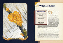 Load image into Gallery viewer, Little Book of Mushrooms