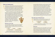 Load image into Gallery viewer, Little Book of Mushrooms