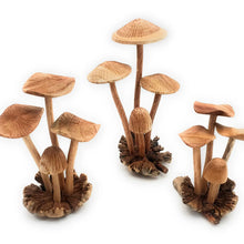 Load image into Gallery viewer, Hand Carved SM Wooden Mushroom