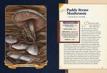 Load image into Gallery viewer, Little Book of Mushrooms