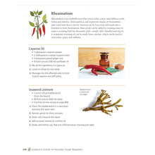 Load image into Gallery viewer, Complete Guide to Natural Home Remedies