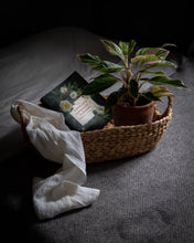 Load image into Gallery viewer, Hand Woven Hyacinth Basket