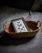 Load image into Gallery viewer, Hand Woven Hyacinth Basket