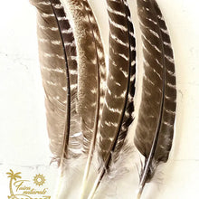 Load image into Gallery viewer, Naturally Fallen Turkey Feather

