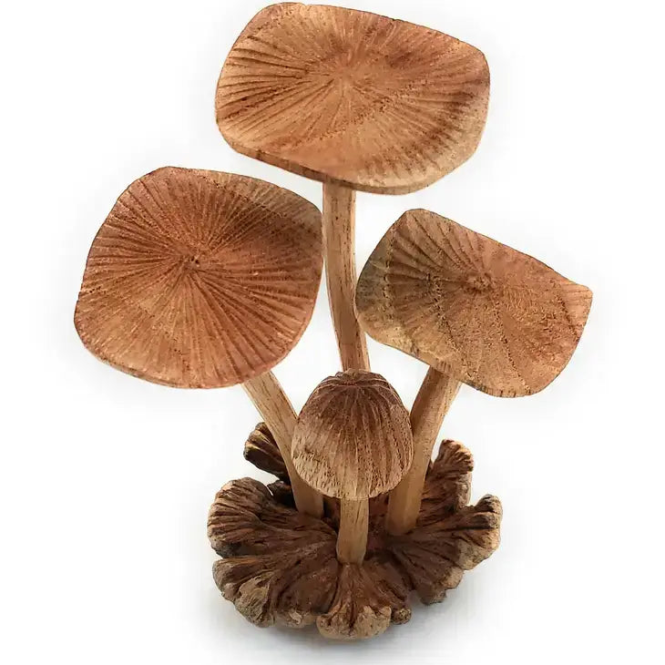 Hand Carved Large /XL Wooden Mushroom