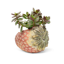 Load image into Gallery viewer, Strawberry Planter
