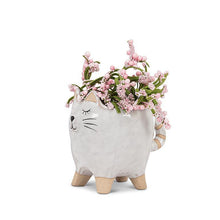 Load image into Gallery viewer, Small Cat withTail Planter

