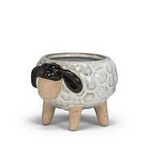 Load image into Gallery viewer, Sheep on Legs Planter

