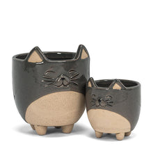 Load image into Gallery viewer, Cat On Legs Planter
