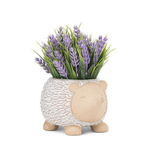 Load image into Gallery viewer, Small Hedgehog Planter
