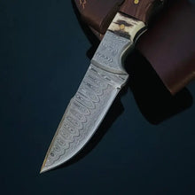 Load image into Gallery viewer, Knife W/Walnut &amp; Stag Horn Handle TD-159X

