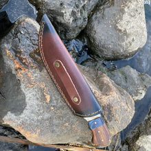 Load image into Gallery viewer, High Carbon  Hunting Knife TK-031
