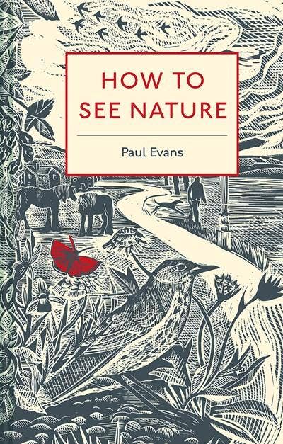 How to See Nature