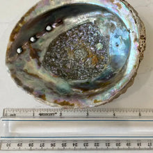 Load image into Gallery viewer, Abalone Shell Smudge Bowls (Medium)
