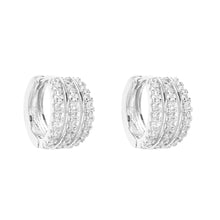 Load image into Gallery viewer, Silver CZ  Earring’s
