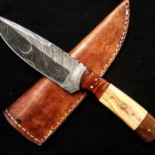 Load image into Gallery viewer, 9'' Blade For Ever Outdoor Trip TD-087
