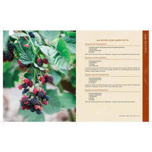 Load image into Gallery viewer, The Homestead Canning Cookbook
