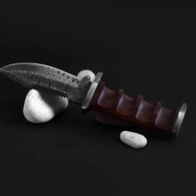 Load image into Gallery viewer, The Wilderness  Utility Knife TD-105X
