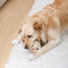 Load image into Gallery viewer, Pet Toys
