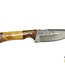 Load image into Gallery viewer, 9'' Blade For Ever Outdoor Trip TD-087
