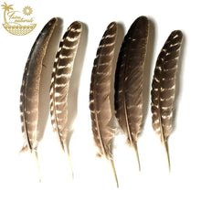 Load image into Gallery viewer, Naturally Fallen Turkey Feather
