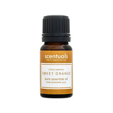 Load image into Gallery viewer, 10ml Pure Essential Oil
