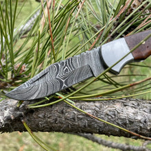 Load image into Gallery viewer, Pocket Knife Walnut Wood Damascus Steel
