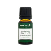 Load image into Gallery viewer, 10ml Pure Essential Oil
