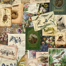 Load image into Gallery viewer, Assorted 11&quot; X 17&quot; Art Pictures
