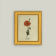 Load image into Gallery viewer, Red Poppy Framed Antique Art
