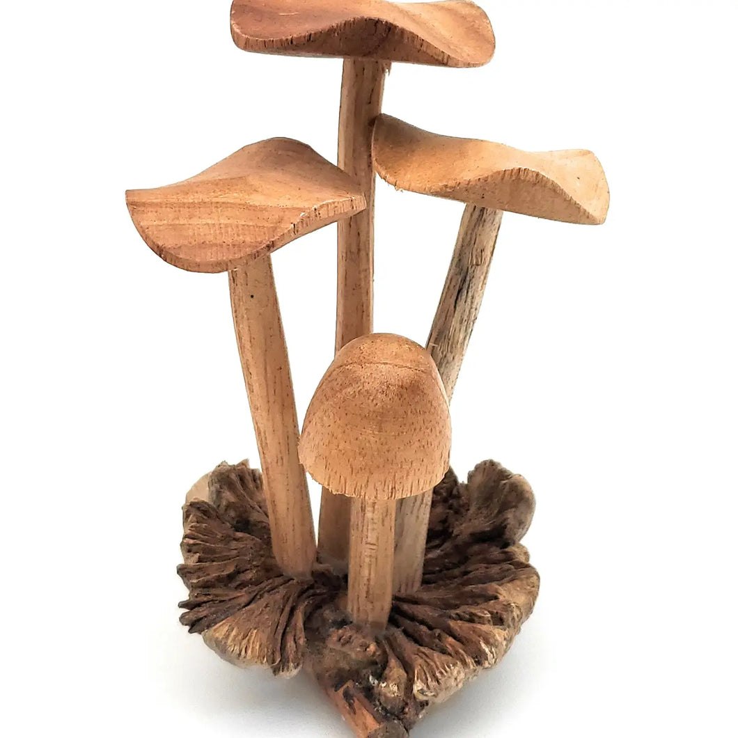 Hand Carved SM Wooden Mushroom