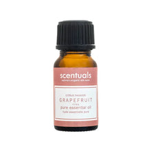 Load image into Gallery viewer, 10ml Pure Essential Oil
