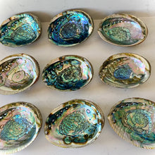 Load image into Gallery viewer, Abalone Shell Smudge Bowls (Medium)
