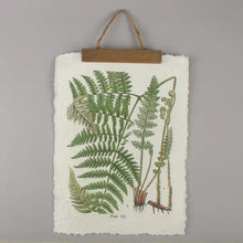 Load image into Gallery viewer, Vintage Fern Wall Hanging Print
